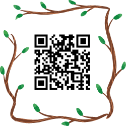 QR Code Generator Color Frames